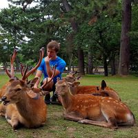 Fotos de Andrew Miller