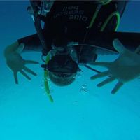 Fotos de Michael Spitzer