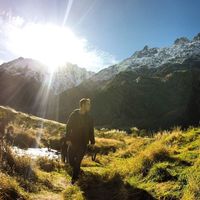 Harry Johnson的照片