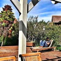 Fotos de Riadh Bedoui