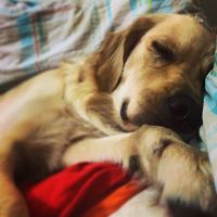 Çağrı Bal's Photo