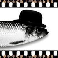 Fotos de Damian Gindahał