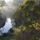 Plenty Gorge Hike (~15km)'s picture