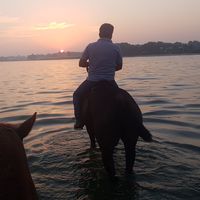 Tariq Alawadhi's Photo