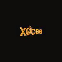 XOC88 web cá cược trực tuyến的照片