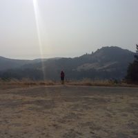 Michael Bode's Photo