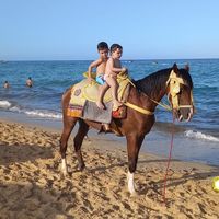 Youssef Eljari's Photo