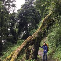 Marie Bonitz的照片