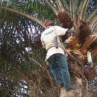 Pape Moussa BODIAN's Photo