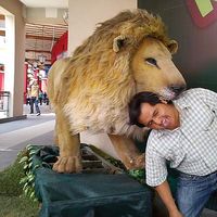 Robinson Huamani's Photo