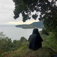 Alejandro Capurro的照片