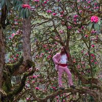 Jason Wheeler's Photo