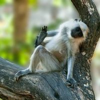 Leela  Parameswara Reddy's Photo