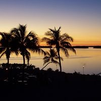 Robby McClung's Photo