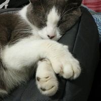 Mik Montoya的照片