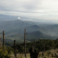 Thelma Sagui's Photo