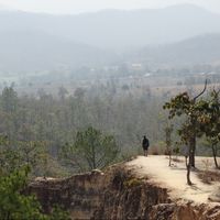 Fotos de Nicolae Pintilie