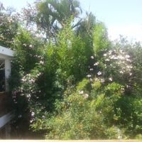 Raul Calderon的照片