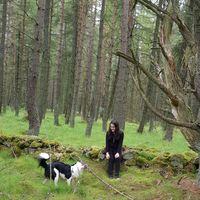 Ana Martins的照片