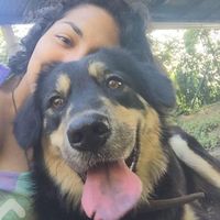 Jossi Campos's Photo