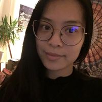 Le Han Nguyen的照片