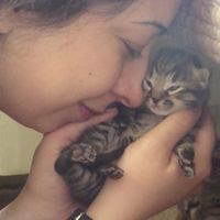 Roxana Mohit的照片