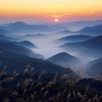 Hyeokjae  Jeong's Photo