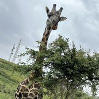 Fotos de Elly Victor