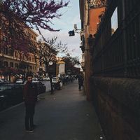 Fotos de Alptuğ Yamak