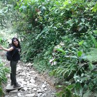 Lina  Hernandez的照片