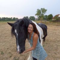 danya seginer's Photo