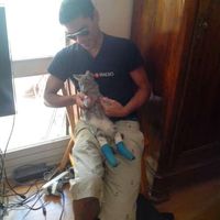 Luiz Marques's Photo