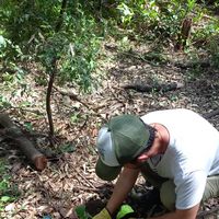 Jonathan Abramovich's Photo