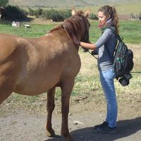 jala Lässer's Photo