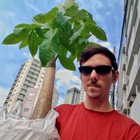 Fotos de Jasper Stephenson