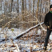 Augusto Carvalho's Photo