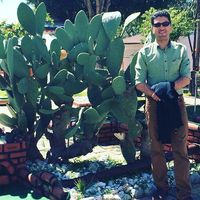 SeyedAmir Mahmoodi's Photo