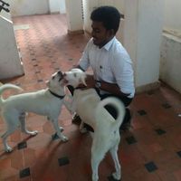 Le foto di Kamal Maharaja