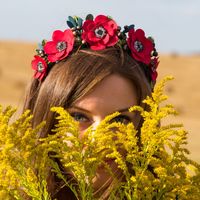 Elena Dobrovolskaya的照片