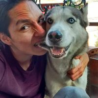 Le foto di Sebastian Stik