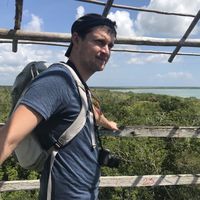 Le foto di Pierre Vancutsem