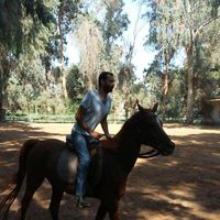 mahmoud eldemerdash的照片