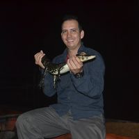 Manuel Toppe's Photo