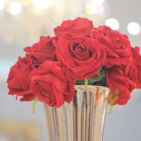 Barbara Pérez's Photo