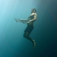 Alejandro Gutierrez的照片