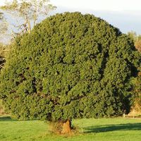 Matt Saywell的照片