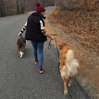 Fotos de Amanda Down