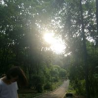 Georgy Holod's Photo