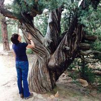 Amethyst Davis's Photo