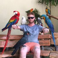 Fotos de Peter Warszycki